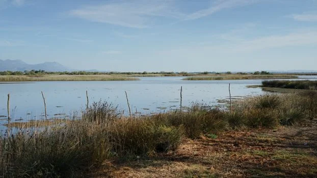 hospital wastewater treatment in merida - Treatment Technology Comparison: MBR vs Electrocoagulation vs Constructed Wetlands vs DAF for Mérida Hospitals