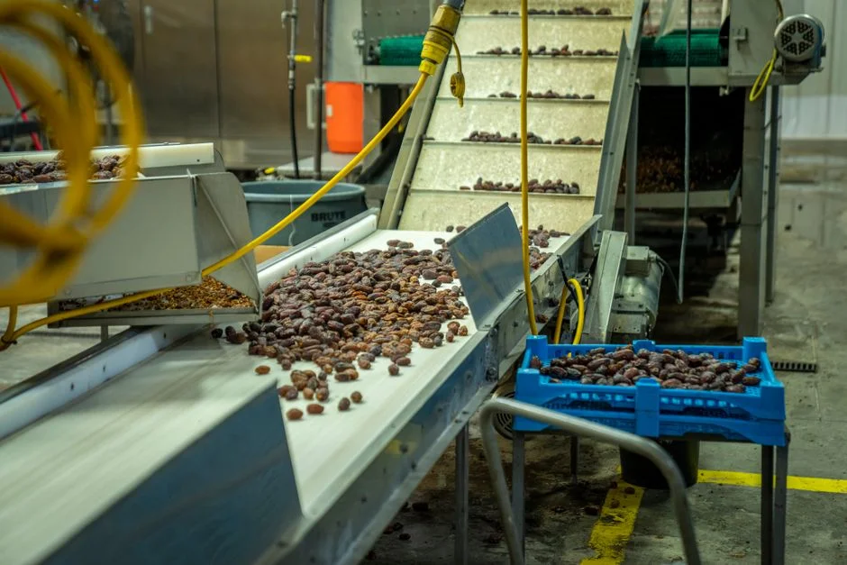 Strategy 6: Automate to Cut Labor and Dose Variability