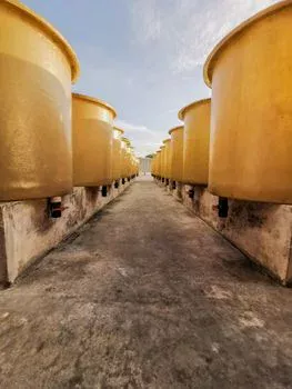 industrial wastewater treatment in ottawa - Technology Comparison: MBR vs. DAF vs. Chemical Precipitation for Ottawa’s Limits