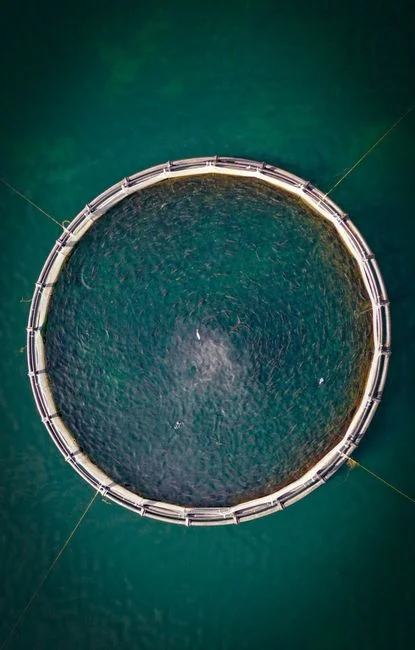 2026 CAPEX and OPEX Benchmarks for Aquaculture MBBR
