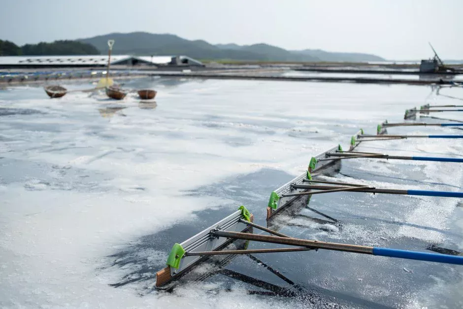 CAPEX Breakdown: What an MBR for Aquaculture Actually Costs in 2026