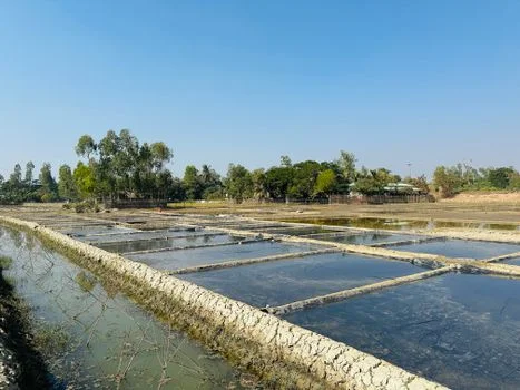 mbr vs conventional activated sludge - Effluent Quality and Water Reuse Eligibility