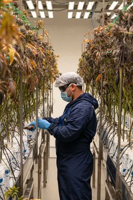 What the 2026 Market Data Means for Your Membrane Procurement Decision