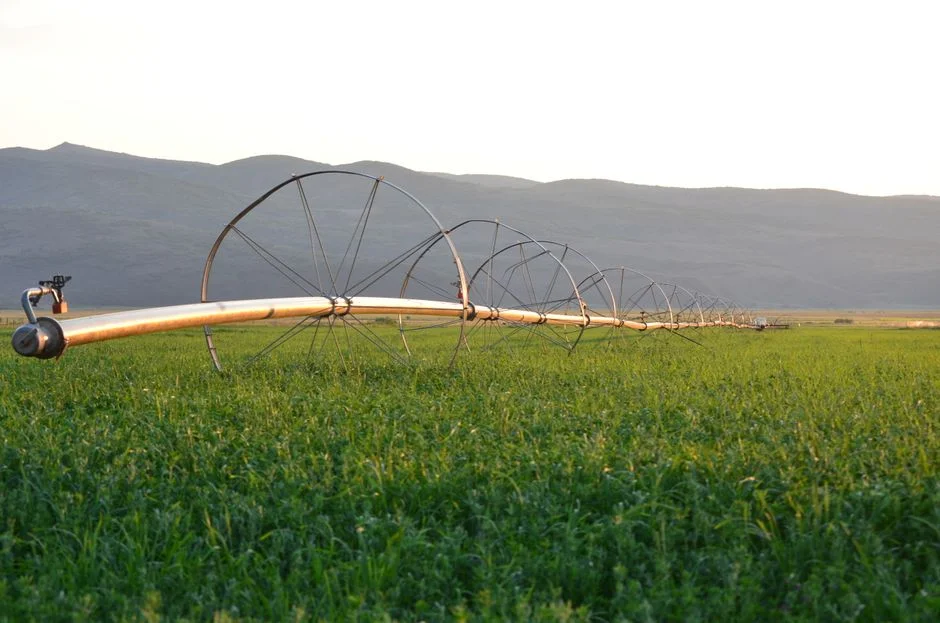 Tier 2 — Restricted Irrigation: Commercially Processed Food Crops and Non-Food Crops