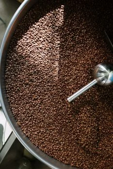 rotary drum screen for food processing - Food-Specific Waste Streams: Matching Rotary Drum Screens to Meat, Dairy, and Beverage Applications