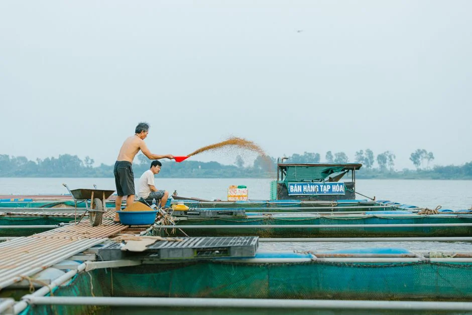 Salinity Is the Make-or-Break Variable for Shrimp Systems