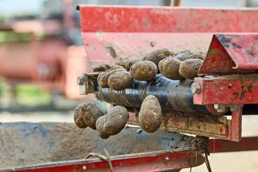 screw press vs belt press for dewatering - Match the Press to Your Sludge Type