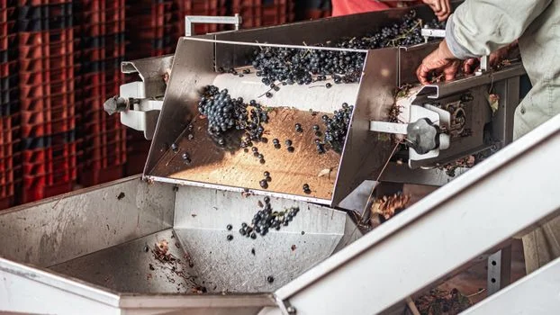 sewage treatment equipment supplier in oregon usa - Case Study: Oregon Food Processor Upgrades to DAF System, Cuts TSS by 95% and Avoids $250K in Fines