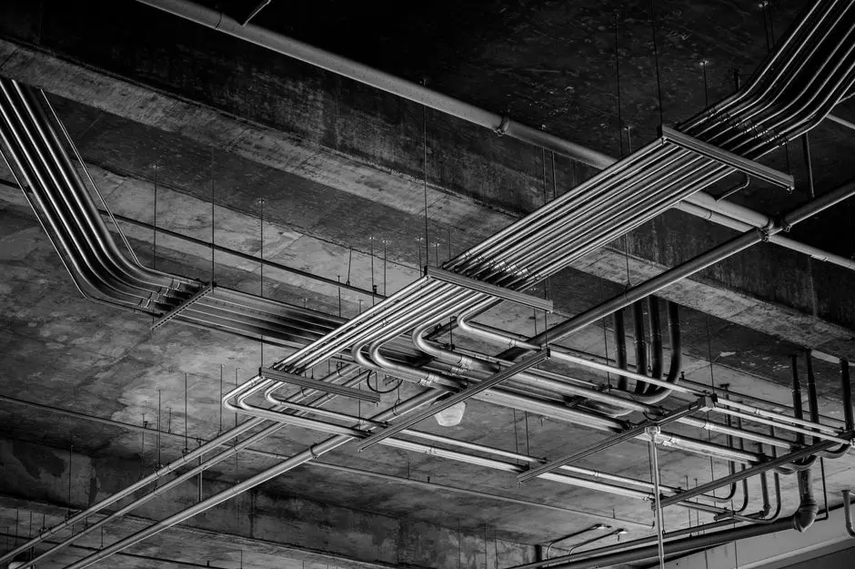 Three Plant Architectures That Work in Abuja