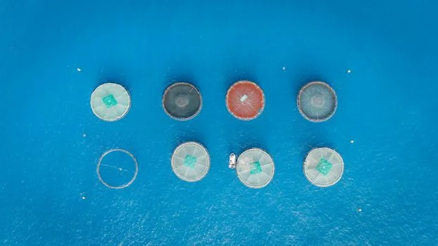 tannery wastewater treatment - Biological Treatment: MBR vs SBR vs UASB for the Main COD/Nitrogen Train