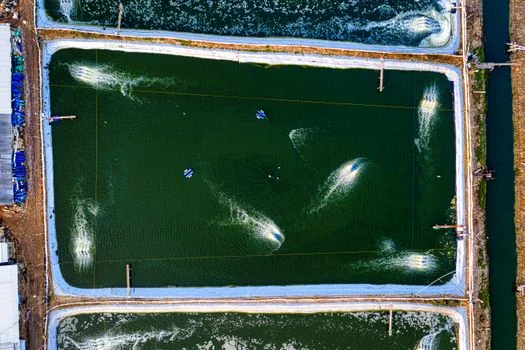 wastewater treatment plant cost in portugal - How to Select the Right Wastewater Treatment Technology for Your Budget