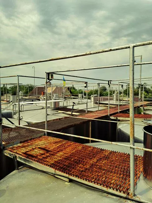 Malaysian Industry Effluent Profiles and Matching Treatment Trains