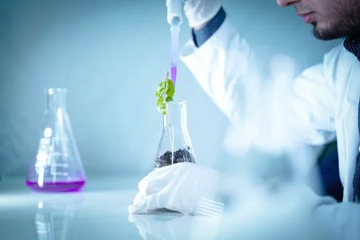 winery wastewater cod and bod removal - The Standard Process Train for COD and BOD Removal