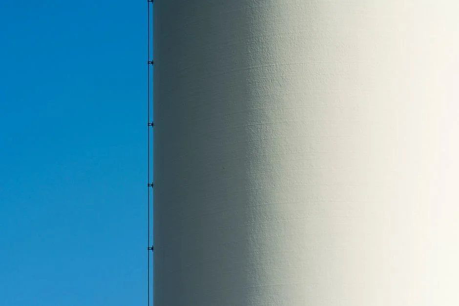 The CASS Retrofit Diagnostic: Modelling the Existing Reactor