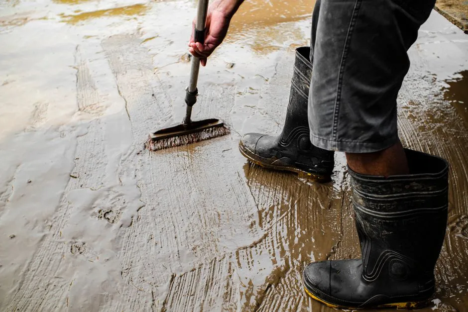 Problem 3: Decanter Weir Clogging and Floating Sludge Carry-Over