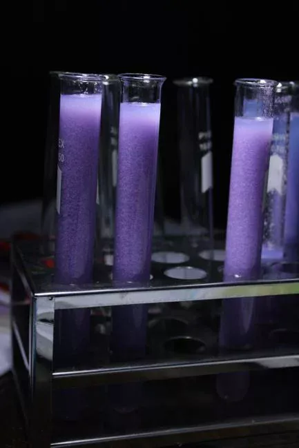 Problem 5: Rising Sludge and Denitrification in the Settle Phase