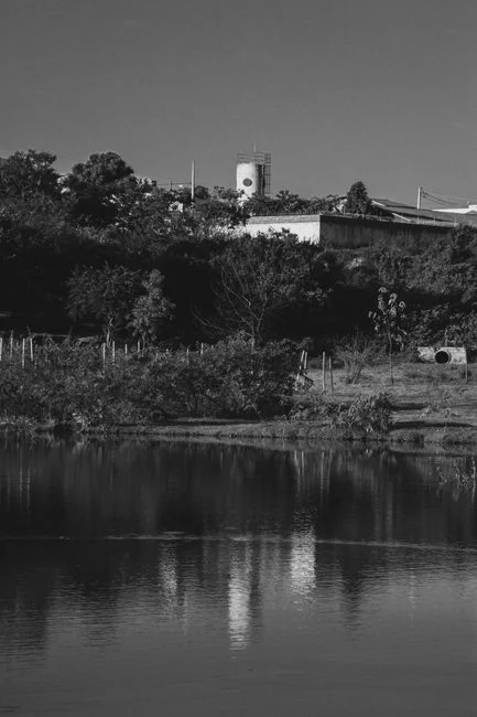 Retrofit Option Matrix: From FWS Polishing to Hybrid Intensified Wetlands