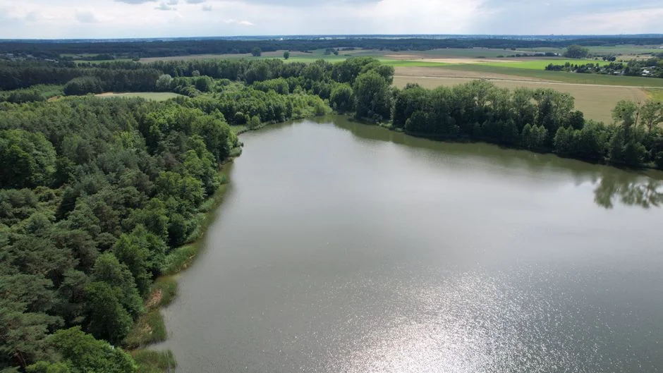 Preventing the Next Failure: A Quarterly Wetland Health Program