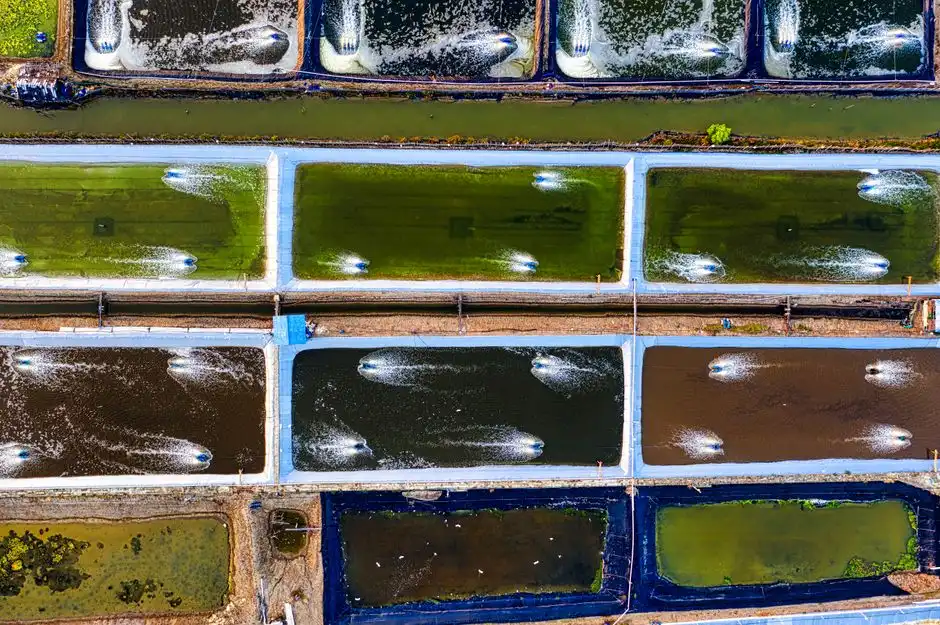 MBR vs MBBR vs SBR: Head-to-Head for Ethiopian Industrial Effluent