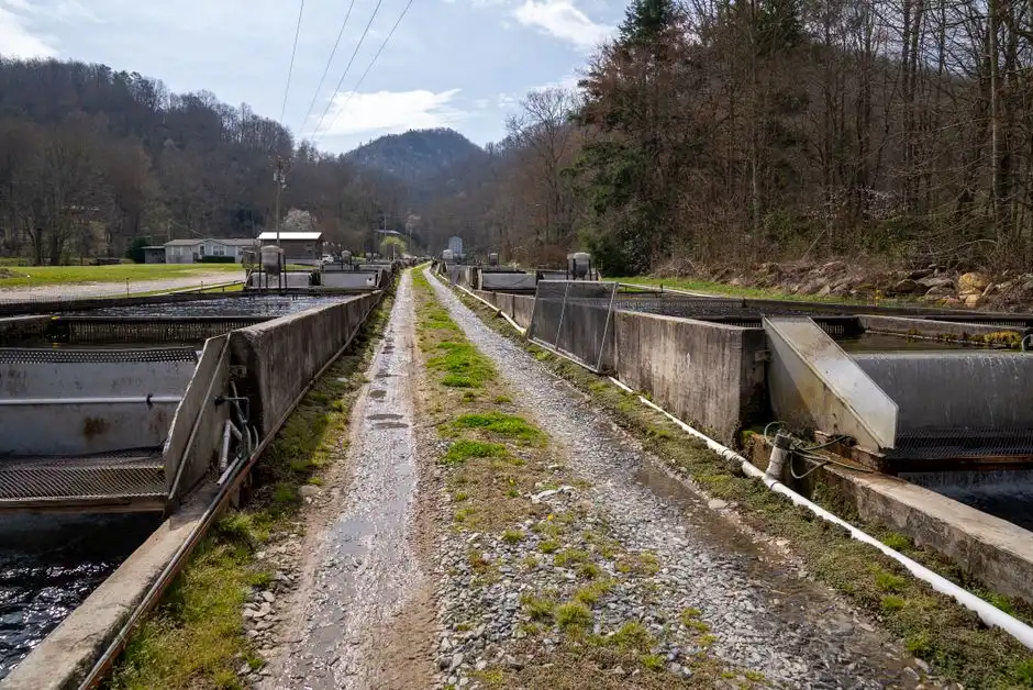 How a Lamella or Conventional Clarifier Treats the Same Stream