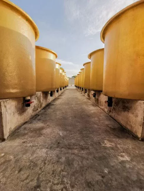 Pretreatment, Sludge Handling, and Where DAF Fits in the Bakery Treatment Train