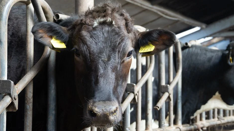 Sludge Handling: The Dairy-Specific Cost Burden