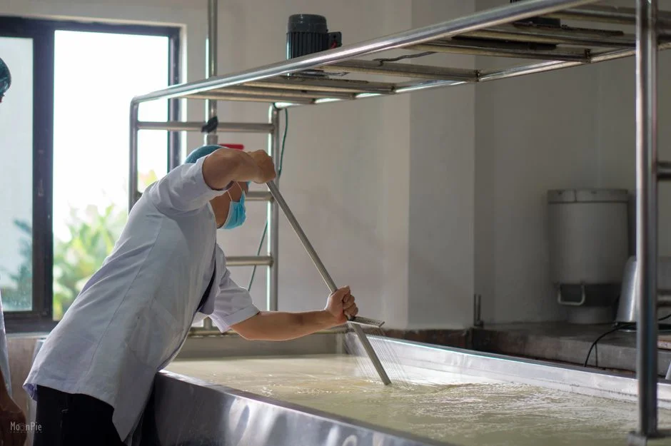 2026 CAPEX and OPEX Benchmarks for Chilean Dairy Plants