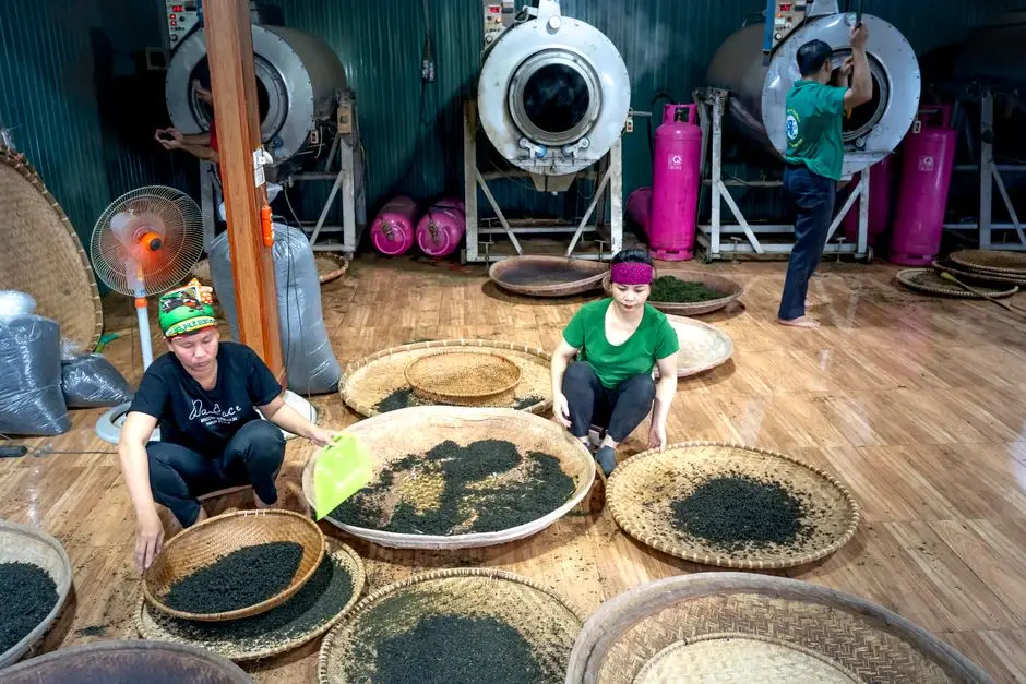2026 CAPEX: What a Decanter Centrifuge for Tea Wastewater Actually Costs