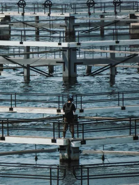 Disc Filter vs. Sand Filter vs. Multi-Media Filter: Decision Matrix