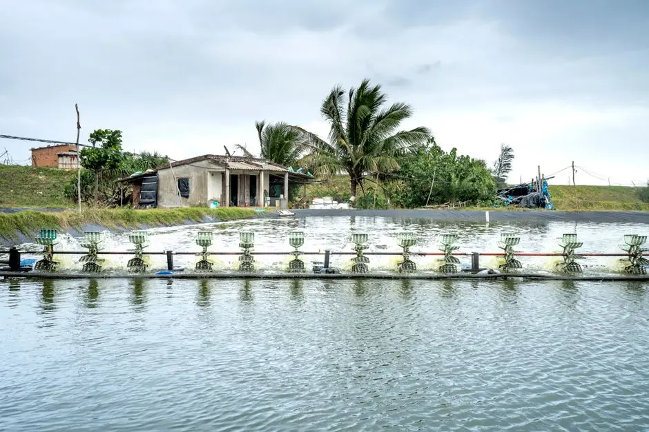 How a Modern Domestic Sewage Treatment Train Works