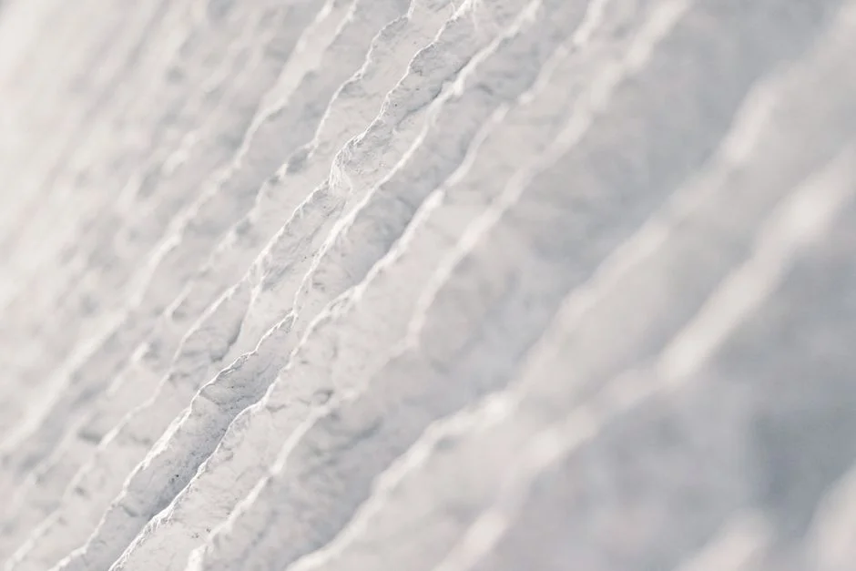 Membrane Format Comparison: Hollow Fibre, Flat Sheet, or MABR?