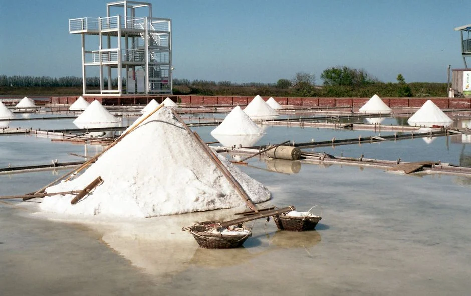 The 5-Step Sizing Framework Adapted to a Starch Plant
