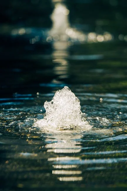 Removal Performance: What IFAS Actually Delivers
