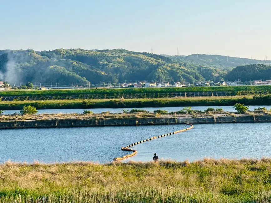 IFAS Design Parameters for Winery Effluent: HRT, Media Fill, SRT, and DO