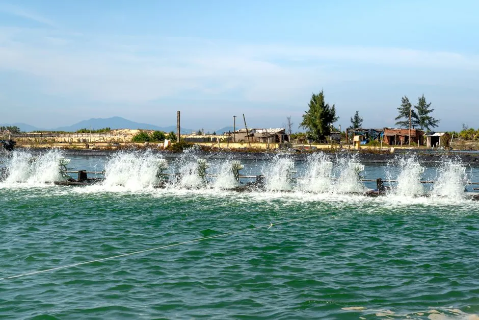 Realistic 2026 CAPEX and OPEX Ranges for a Guanajuato Industrial WWTP