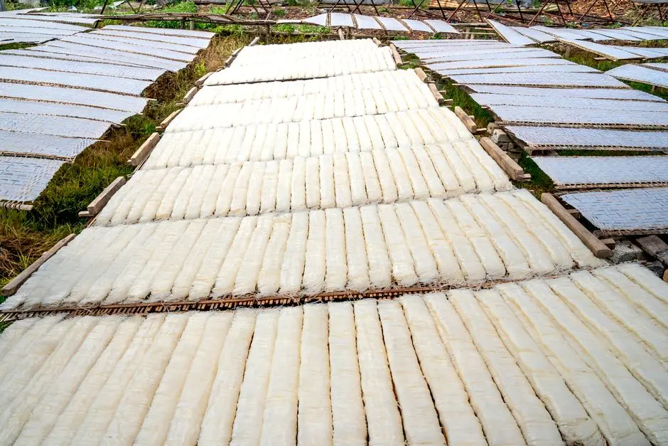 Hollow Fiber vs Flat Sheet MBR: Which Fits Kazakh Conditions?