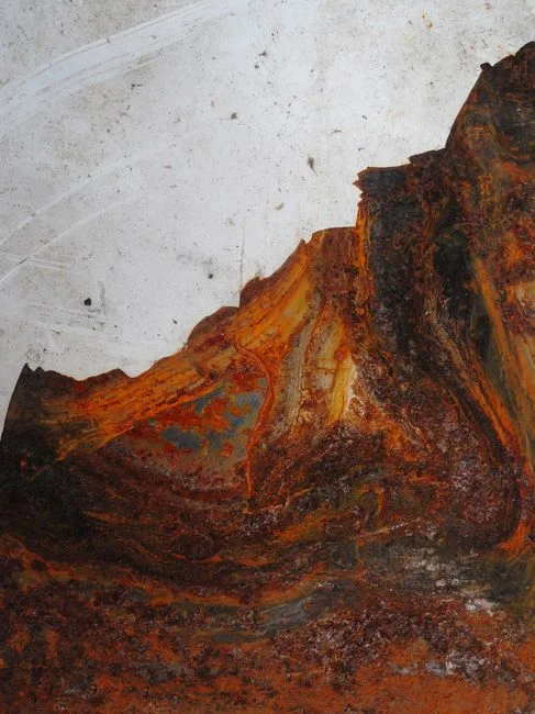 Biofouling: The Most Expensive Problem on the List
