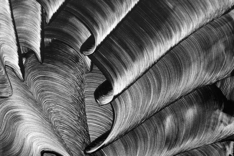 Biological Fouling and Biofouling: The Stealth Failure Mode
