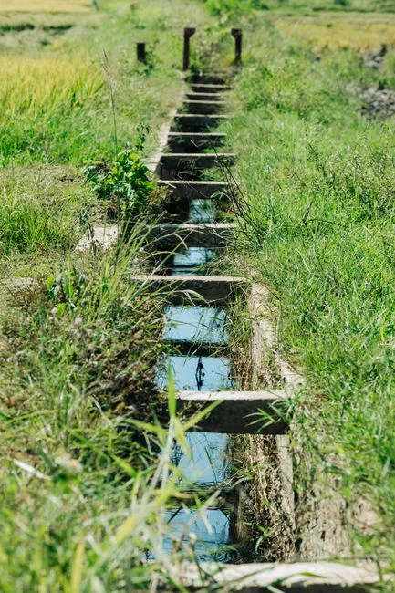 Effluent Quality Problems: High TSS, High Ammonia, or High Nitrate