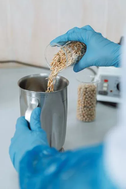 Microplastics and Plasticizers in the Cake: The 2026 Compliance Reality