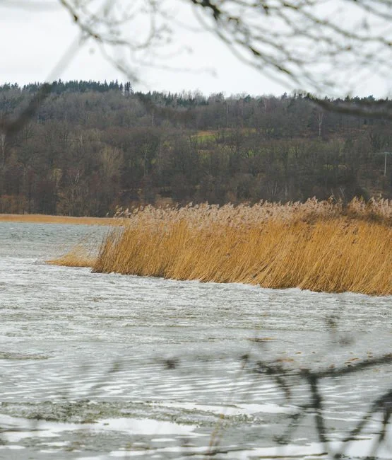MBR vs A/O Packaged Plant vs Constructed Wetland: Comparison