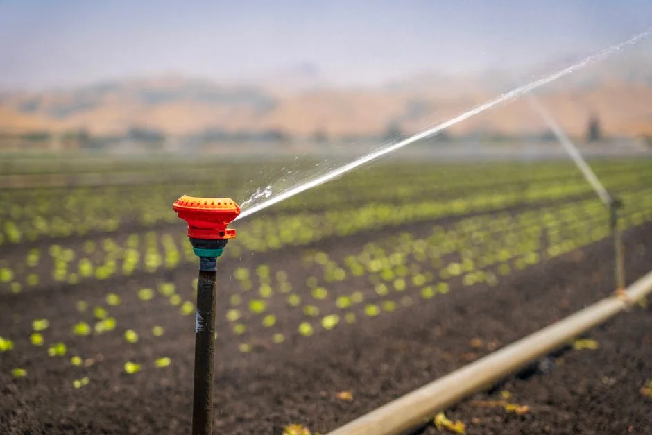 Decentralized Residential Wastewater Solutions for Israel's Unconnected Homes