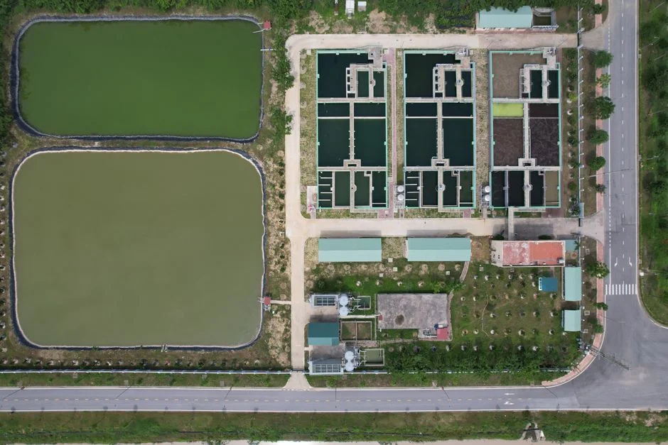 Choosing a process train: MBR, SBR, or A/O for Vietnamese compounds