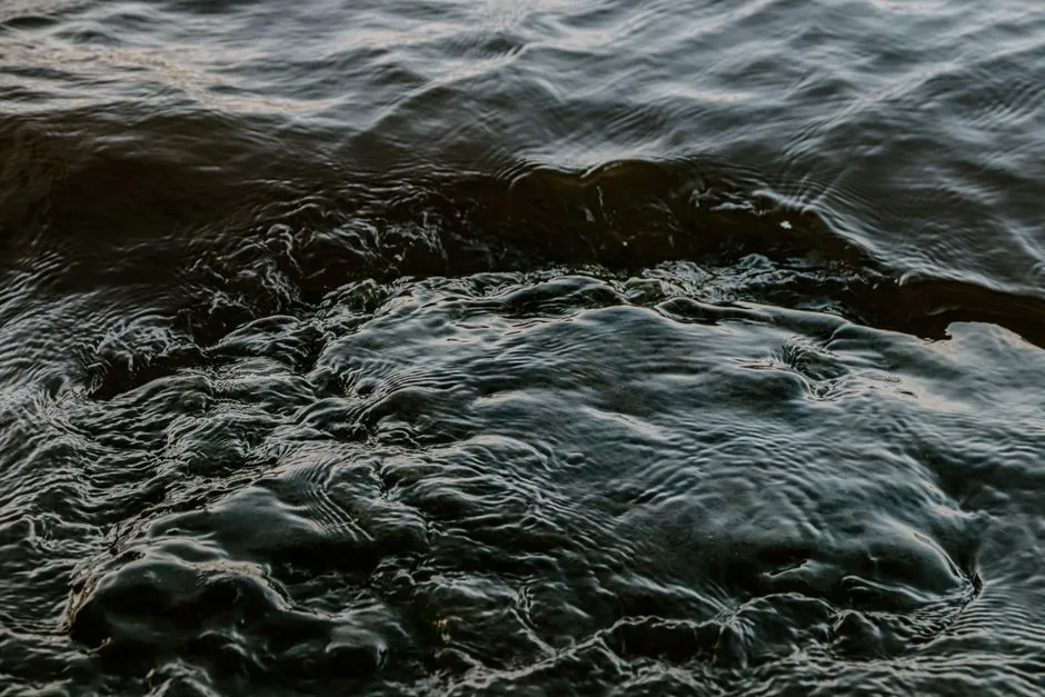 Problem 2 — Bulking and Pin-Point Sludge