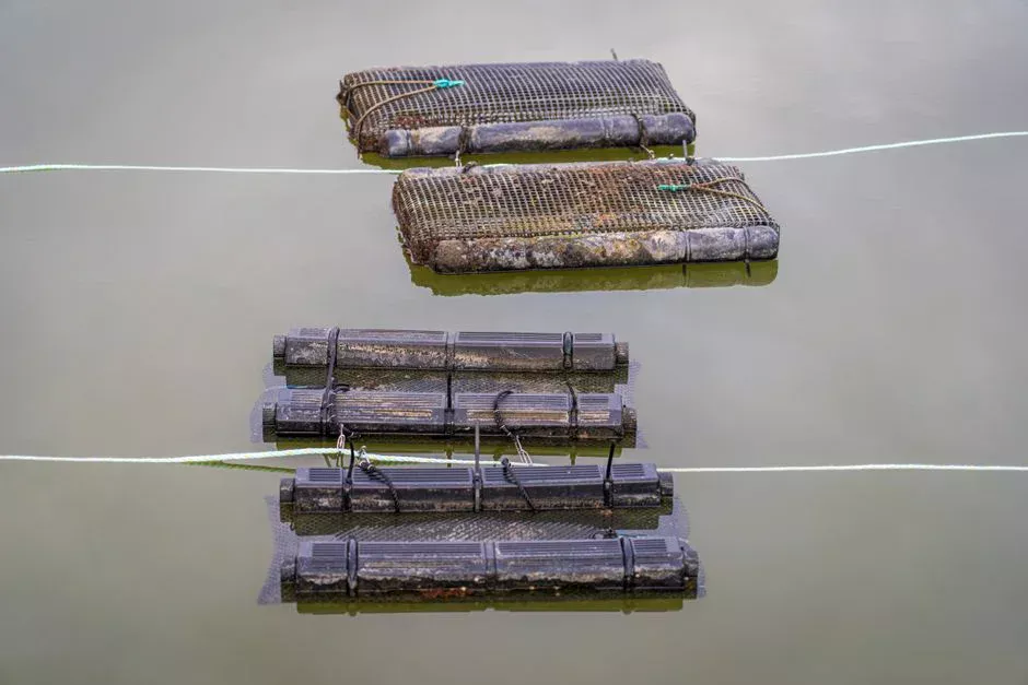 Technology Comparison: Package A/O vs MBR vs SBR vs MBBR