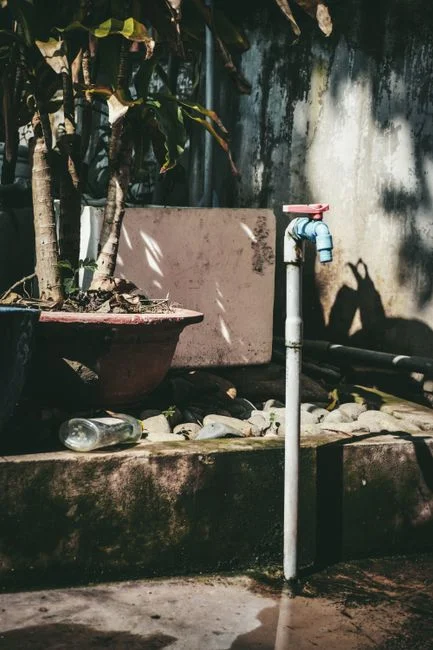Reuse Economics: Cocoa, Aquaculture, and Town Irrigation