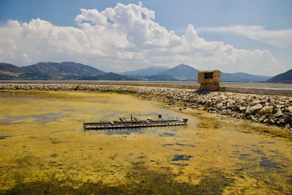 How Phosphorus Behaves in a Biological Wastewater Plant