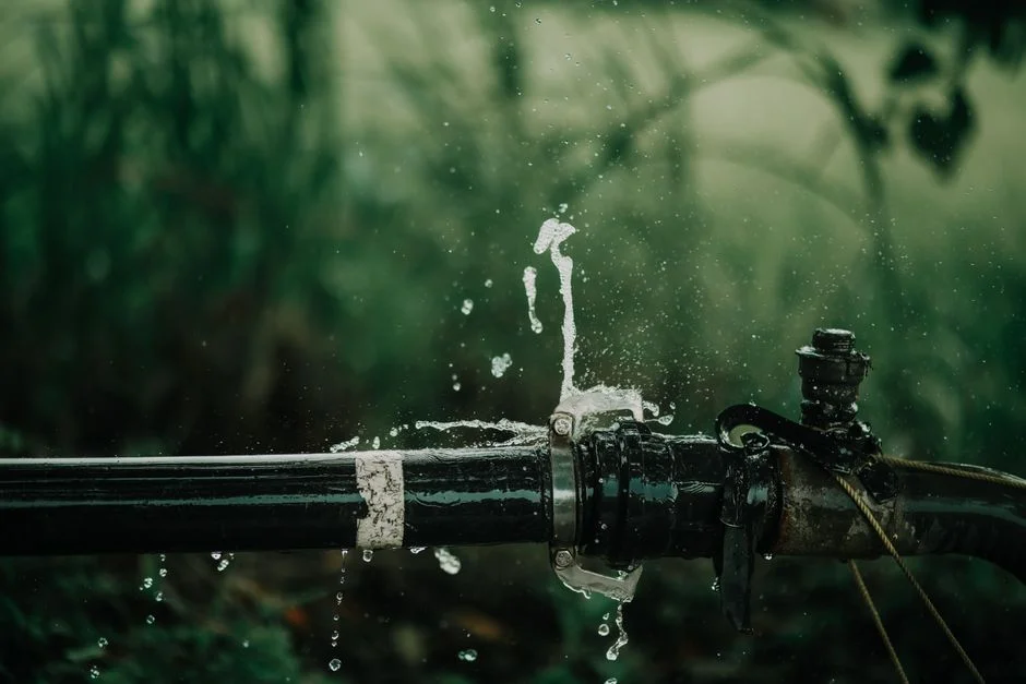 Designing for Reuse: Greywater Recycling and Treated Effluent for Irrigation