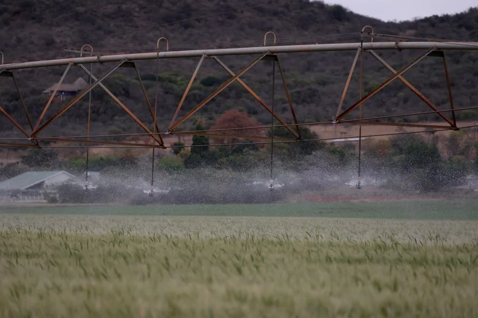 Disinfection, sludge handling, and reuse for irrigation