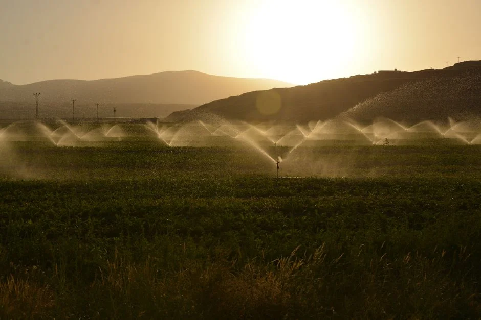 Water Reuse Economics: Irrigation, Cooling, and Toilet Flushing